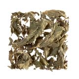 24 Teebeutel Pfefferminze