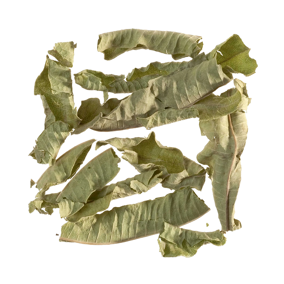 24 Teebeutel Verveine (Eisenkraut)