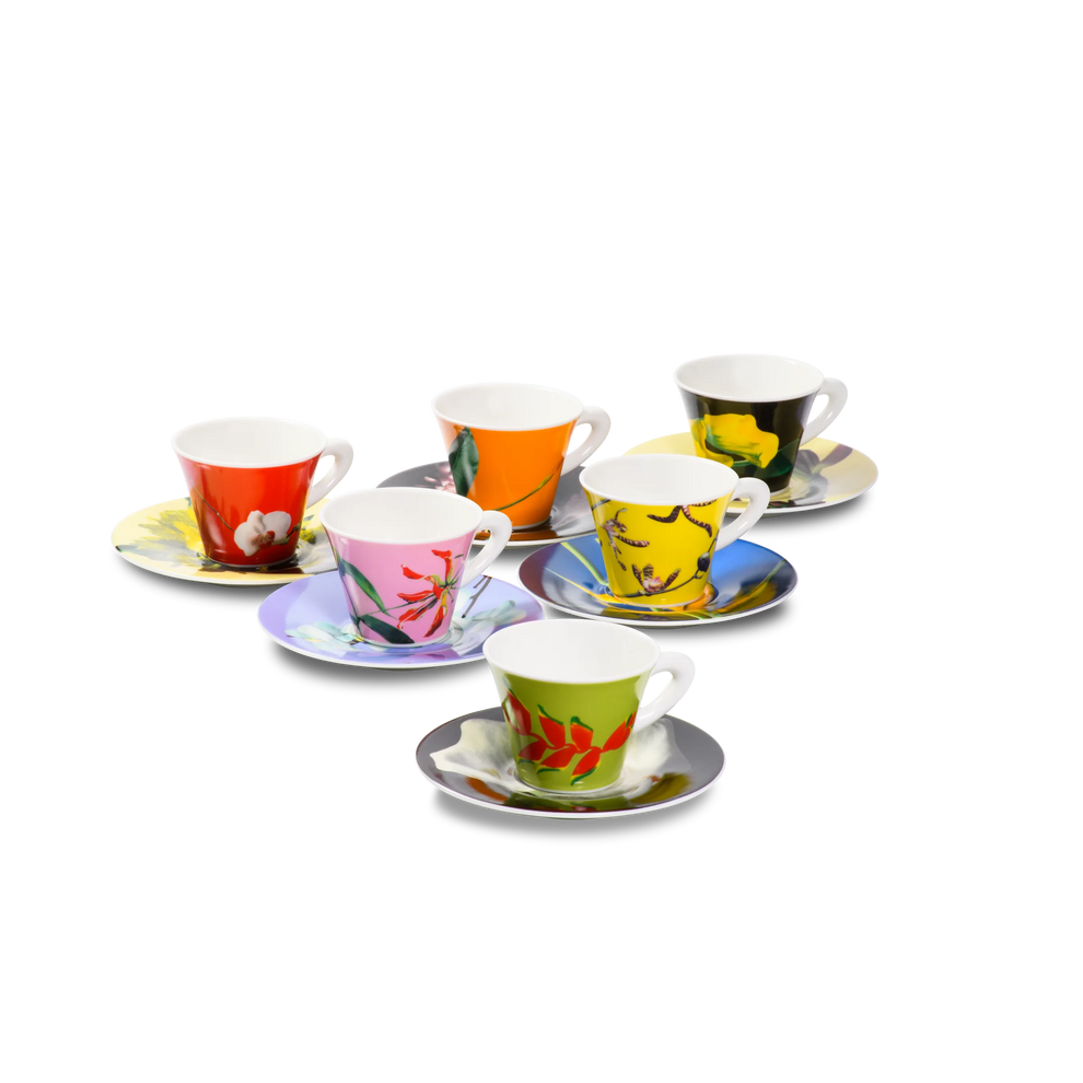 6 Espressotassen Ice Cellars