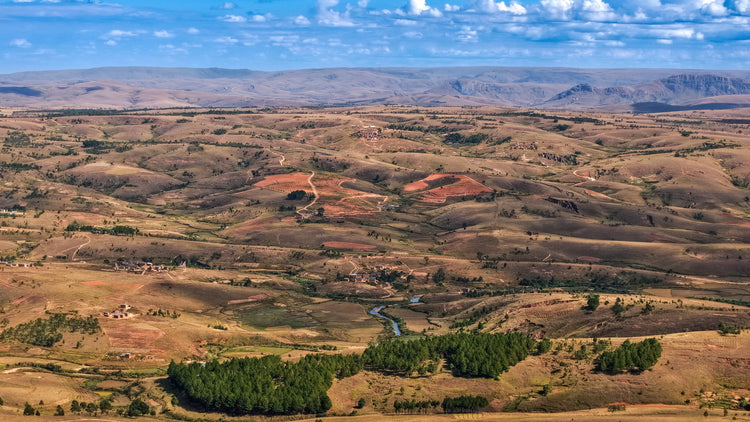 Fiadanana, Analamanga, Madagaskar: Luftaufnahme der Hügel, auf denen die Kaffeeplantage entsteht
