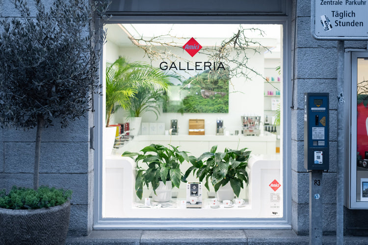 Galleria Amici Luzern: Schaufenster an der Stadthausstrasse
